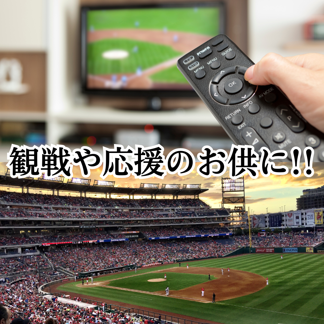 カツオバー 阪神タイガース ピリ辛味5本セット